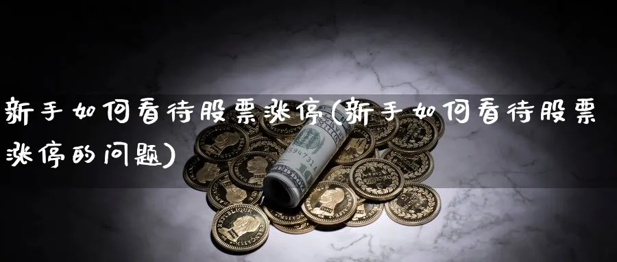 新手如何看待股票涨停(新手如何看待股票涨停的问题)_https://www.aydji.com_理财百科_第1张