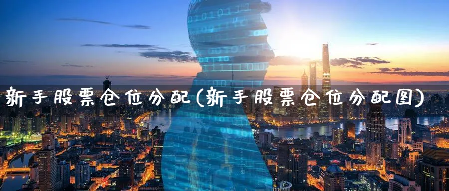 新手股票仓位分配(新手股票仓位分配图)_https://www.aydji.com_理财百科_第1张