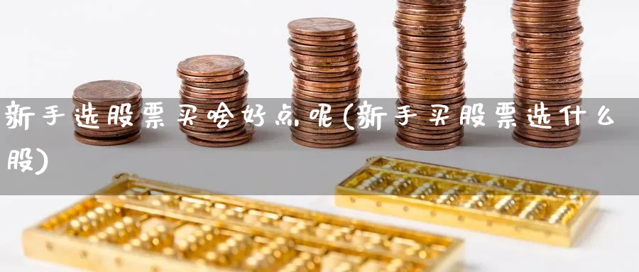 新手选股票买啥好点呢(新手买股票选什么股)_https://www.aydji.com_理财百科_第1张