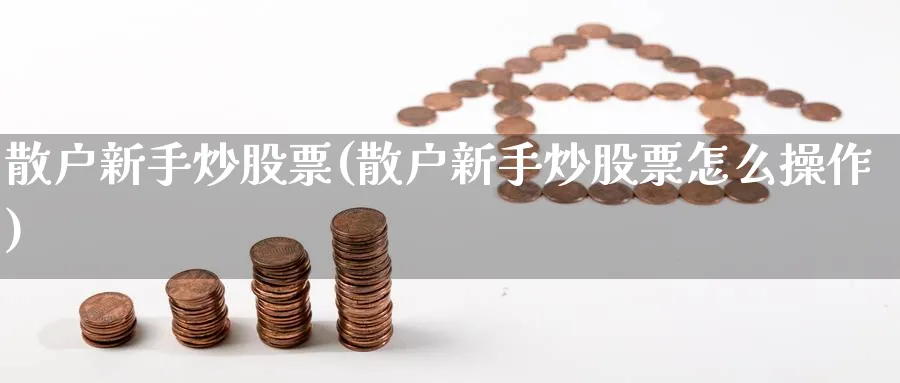 散户新手炒股票(散户新手炒股票怎么操作)_https://www.aydji.com_理财百科_第1张