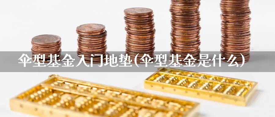 伞型基金入门地垫(伞型基金是什么)_https://www.aydji.com_理财百科_第1张