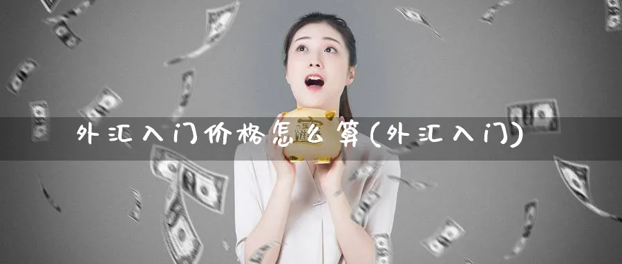 外汇入门价格怎么算(外汇入门)_https://www.aydji.com_内盘期货_第1张