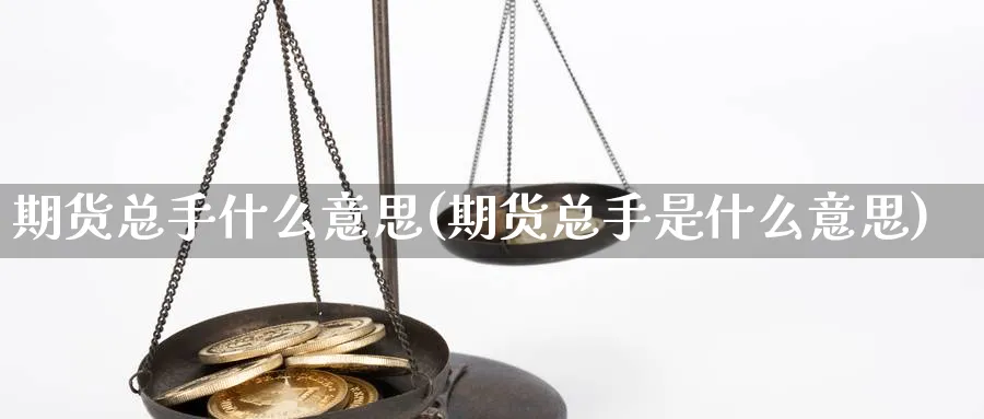 期货总手什么意思(期货总手是什么意思)_https://www.aydji.com_原油期货_第1张