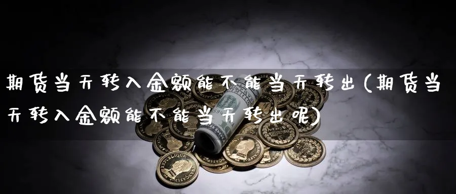 期货当天转入金额能不能当天转出(期货当天转入金额能不能当天转出呢)_https://www.aydji.com_恒指期货_第1张