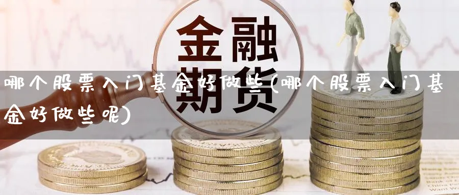 哪个股票入门基金好做些(哪个股票入门基金好做些呢)_https://www.aydji.com_内盘期货_第1张