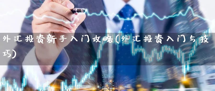 外汇投资新手入门攻略(外汇投资入门与技巧)_https://www.aydji.com_期货技术_第1张