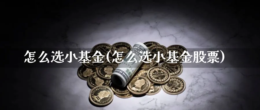 怎么选小基金(怎么选小基金股票)_https://www.aydji.com_期货技术_第1张