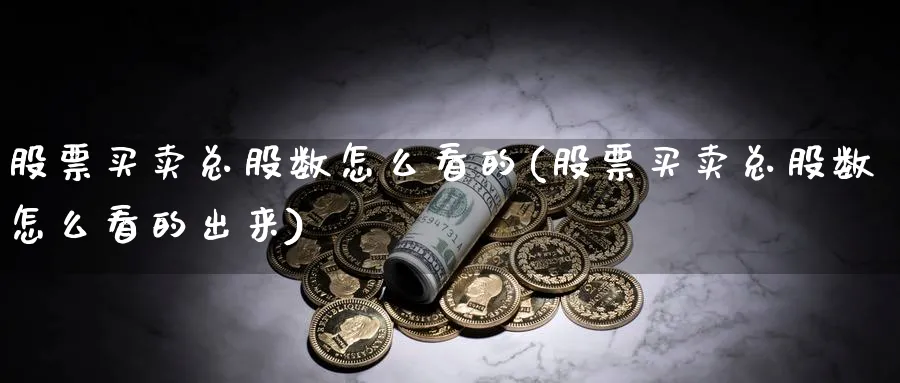 股票买卖总股数怎么看的(股票买卖总股数怎么看的出来)_https://www.aydji.com_内盘期货_第1张