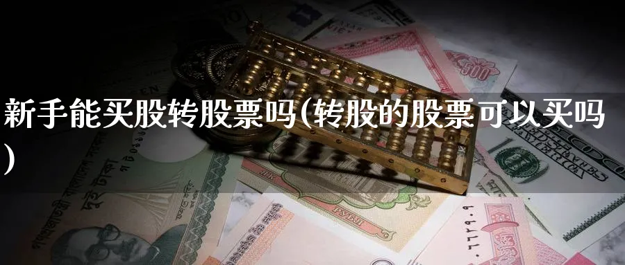 新手能买股转股票吗(转股的股票可以买吗)_https://www.aydji.com_理财百科_第1张