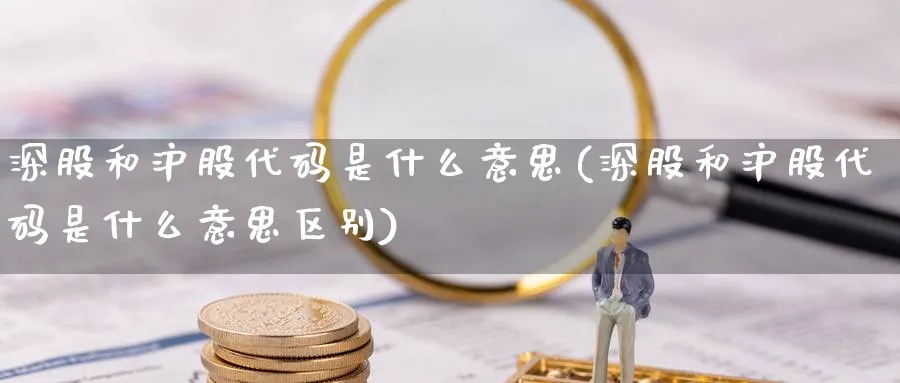 深股和沪股代码是什么意思(深股和沪股代码是什么意思区别)_https://www.aydji.com_原油期货_第1张