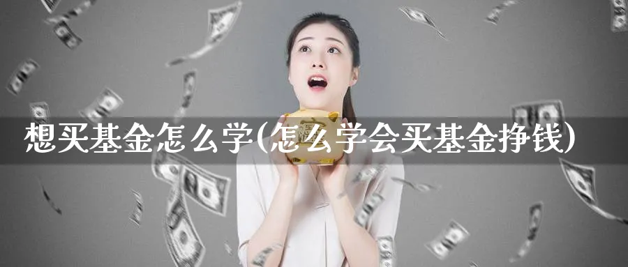 想买基金怎么学(怎么学会买基金挣钱)_https://www.aydji.com_期货技术_第1张