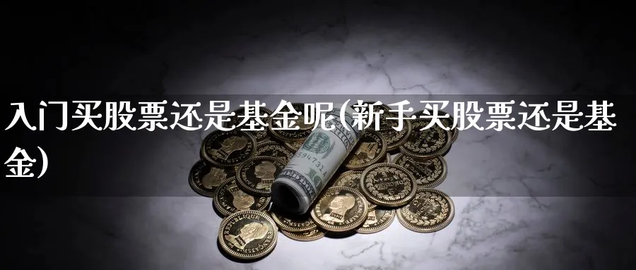 入门买股票还是基金呢(新手买股票还是基金)_https://www.aydji.com_期货技术_第1张