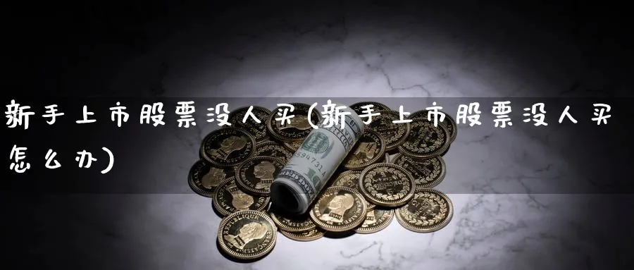 新手上市股票没人买(新手上市股票没人买怎么办)_https://www.aydji.com_内盘期货_第1张