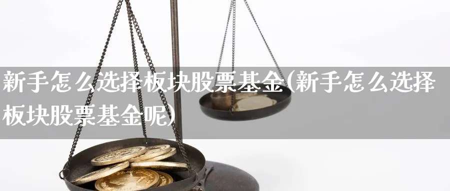 新手怎么选择板块股票基金(新手怎么选择板块股票基金呢)_https://www.aydji.com_理财百科_第1张