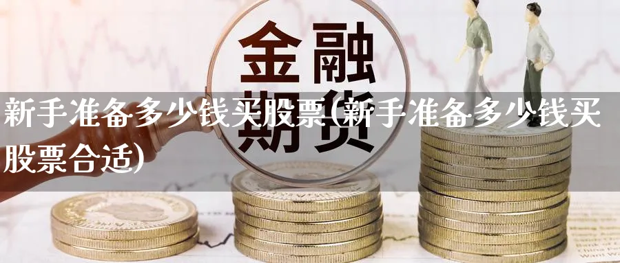 新手准备多少钱买股票(新手准备多少钱买股票合适)_https://www.aydji.com_理财百科_第1张