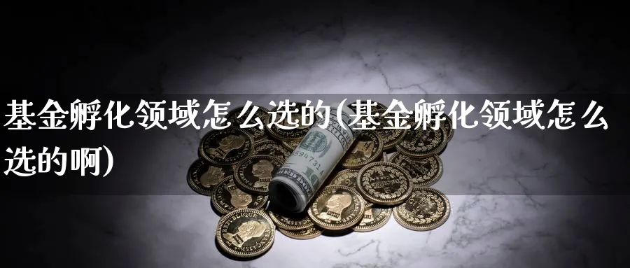 基金孵化领域怎么选的(基金孵化领域怎么选的啊)_https://www.aydji.com_期货技术_第1张