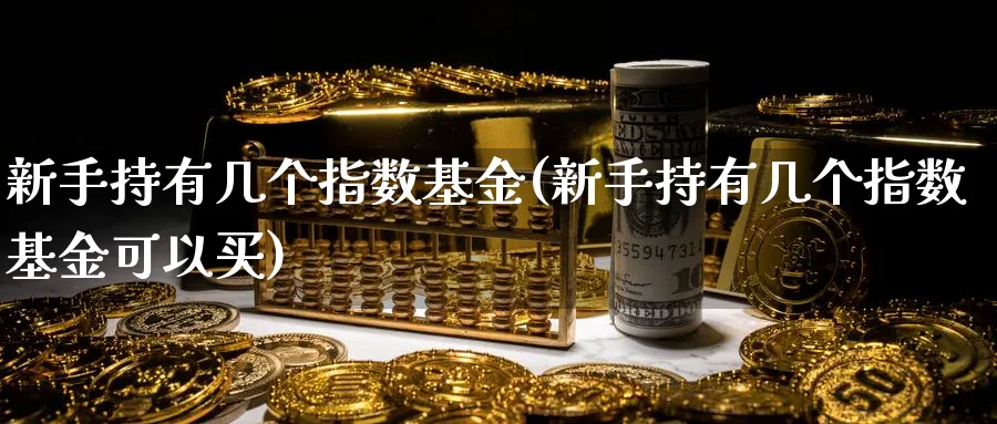 新手持有几个指数基金(新手持有几个指数基金可以买)_https://www.aydji.com_期货技术_第1张