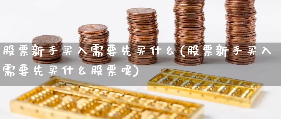 股票新手买入需要先买什么(股票新手买入需要先买什么股票呢)_https://www.aydji.com_理财百科_第1张