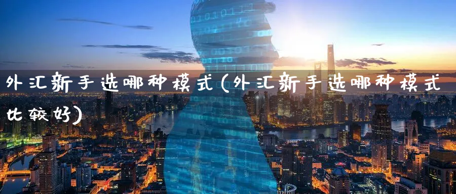 外汇新手选哪种模式(外汇新手选哪种模式比较好)_https://www.aydji.com_理财百科_第1张