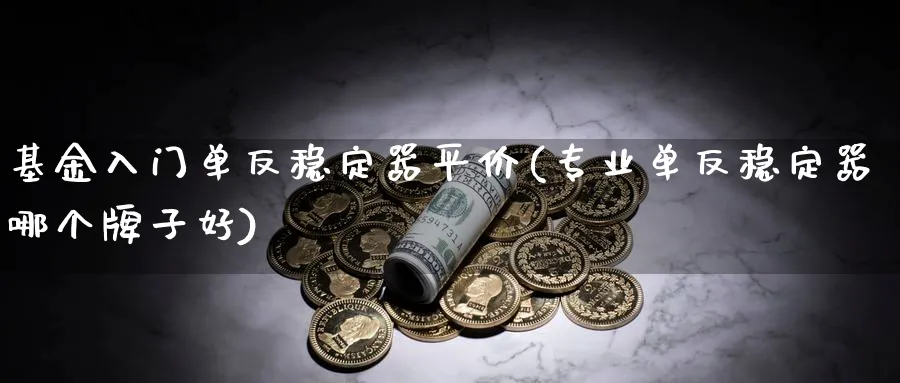 基金入门单反稳定器平价(专业单反稳定器哪个牌子好)_https://www.aydji.com_内盘期货_第1张