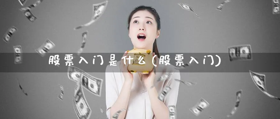 股票入门是什么(股票入门)_https://www.aydji.com_国际期货_第1张