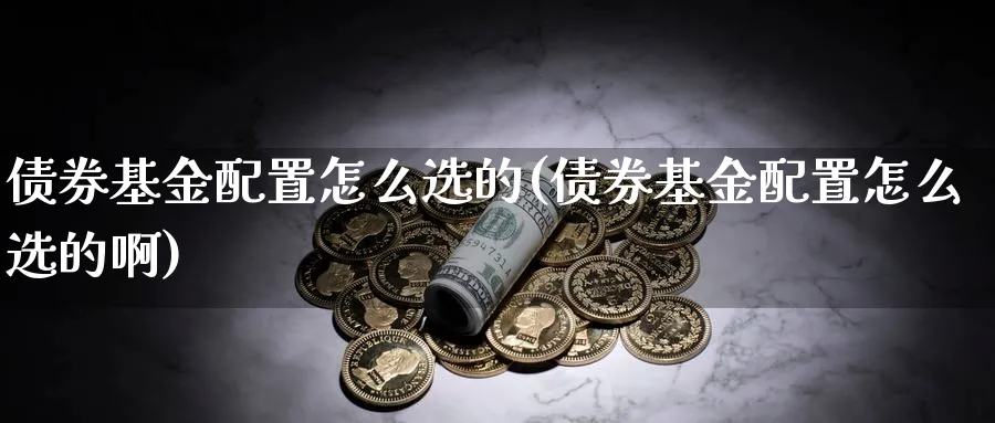 债券基金配置怎么选的(债券基金配置怎么选的啊)_https://www.aydji.com_理财百科_第1张