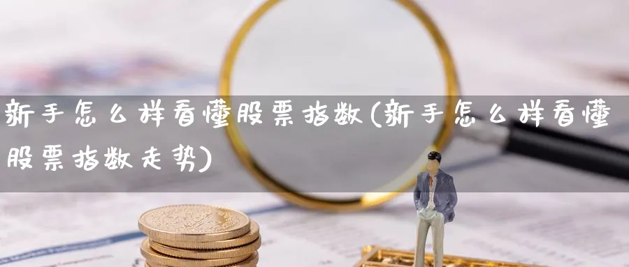 新手怎么样看懂股票指数(新手怎么样看懂股票指数走势)_https://www.aydji.com_理财百科_第1张