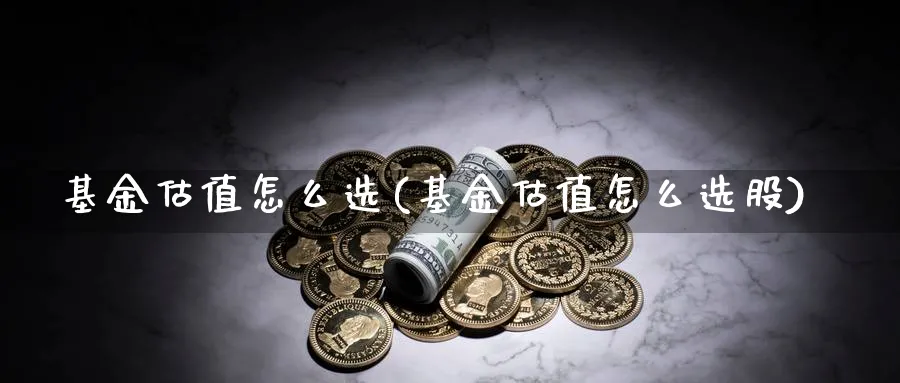 基金估值怎么选(基金估值怎么选股)_https://www.aydji.com_期货技术_第1张