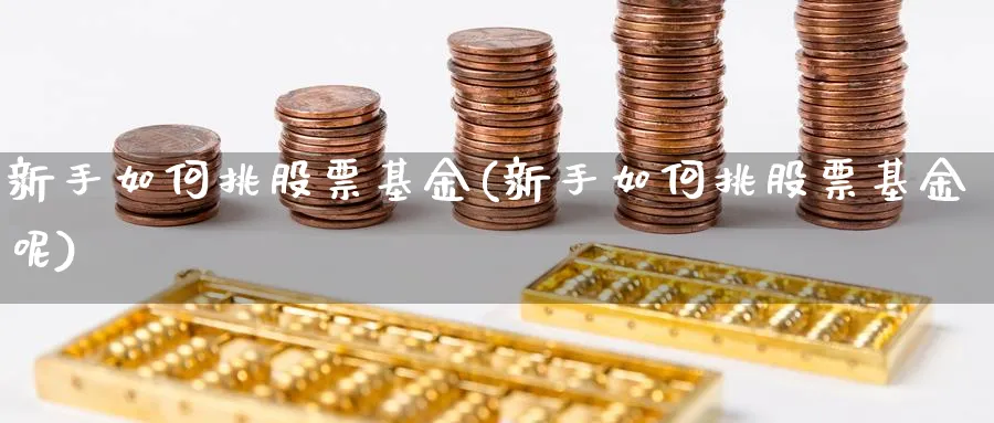 新手如何挑股票基金(新手如何挑股票基金呢)_https://www.aydji.com_理财百科_第1张