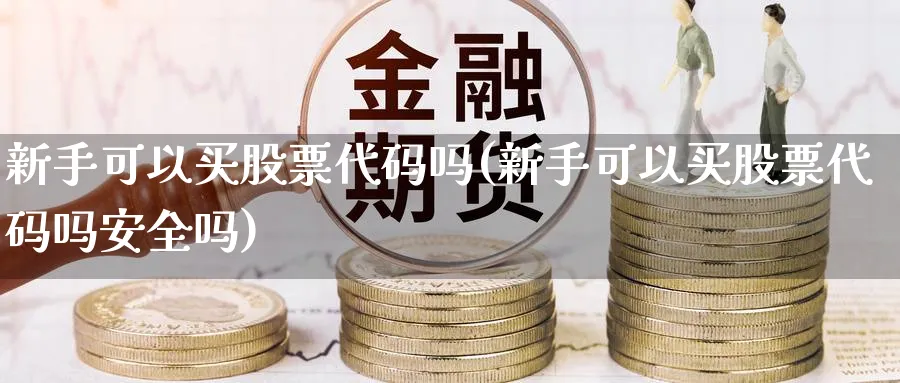 新手可以买股票代码吗(新手可以买股票代码吗安全吗)_https://www.aydji.com_理财百科_第1张