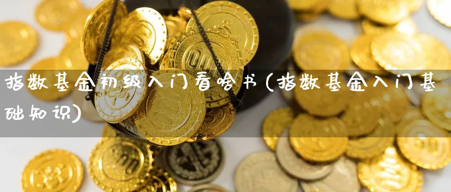 指数基金初级入门看啥书(指数基金入门基础知识)_https://www.aydji.com_内盘期货_第1张