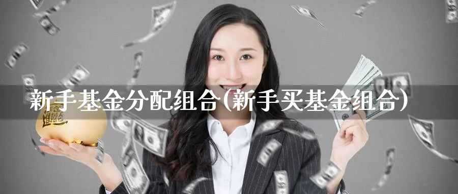 新手基金分配组合(新手买基金组合)_https://www.aydji.com_理财百科_第1张