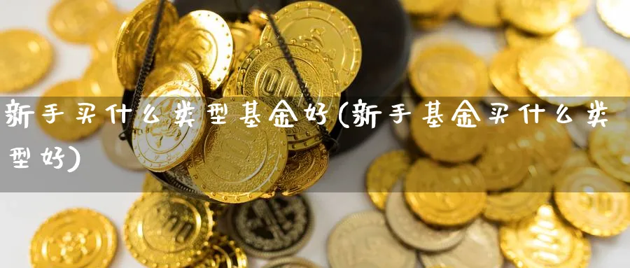 新手买什么类型基金好(新手基金买什么类型好)_https://www.aydji.com_理财百科_第1张