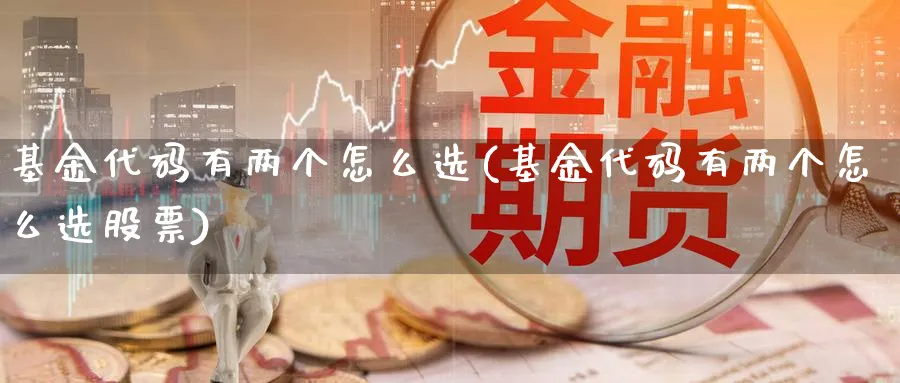 基金代码有两个怎么选(基金代码有两个怎么选股票)_https://www.aydji.com_期货技术_第1张