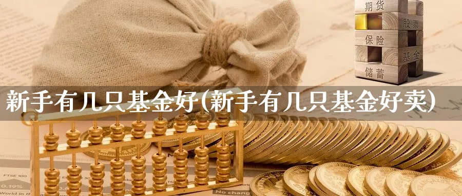 新手有几只基金好(新手有几只基金好卖)_https://www.aydji.com_内盘期货_第1张