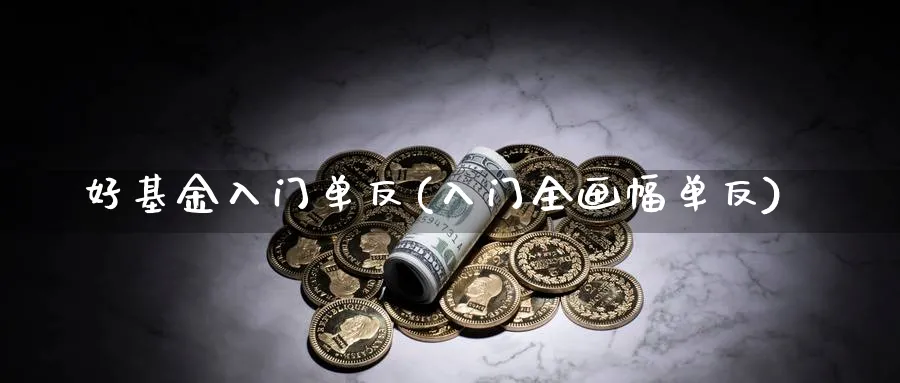 好基金入门单反(入门全画幅单反)_https://www.aydji.com_理财百科_第1张