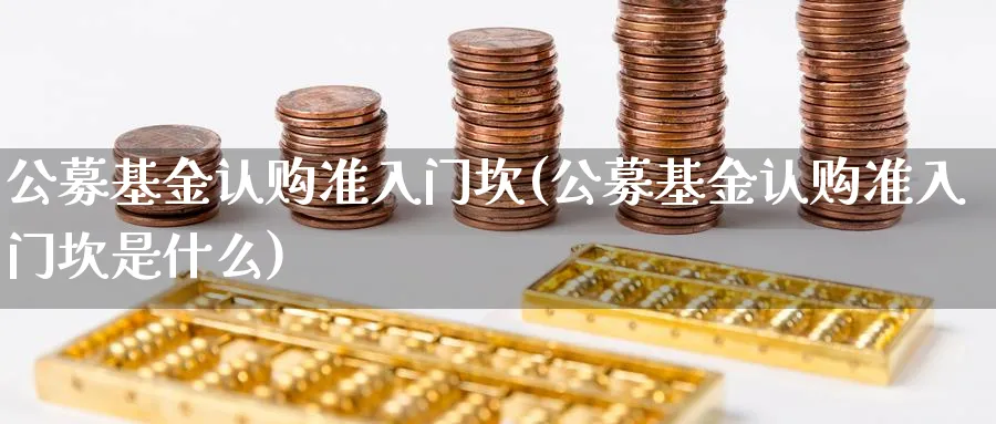 公募基金认购准入门坎(公募基金认购准入门坎是什么)_https://www.aydji.com_期货技术_第1张