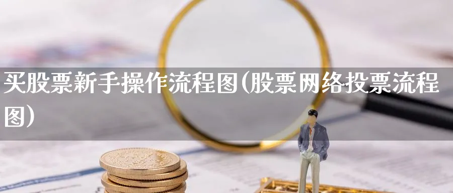 买股票新手操作流程图(股票网络投票流程图)_https://www.aydji.com_理财百科_第1张