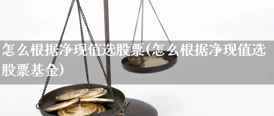 怎么根据净现值选股票(怎么根据净现值选股票基金)_https://www.aydji.com_期货技术_第1张