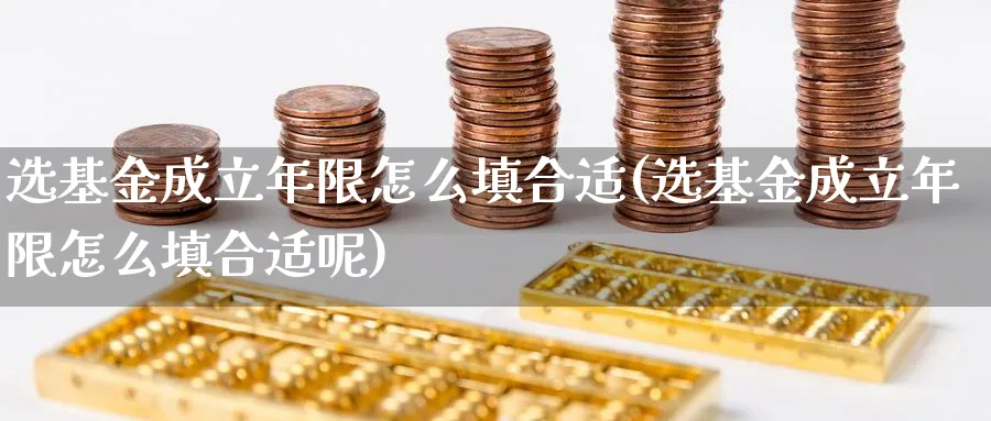 选基金成立年限怎么填合适(选基金成立年限怎么填合适呢)_https://www.aydji.com_期货技术_第1张