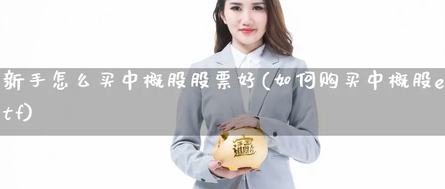 新手怎么买中概股股票好(如何购买中概股etf)_https://www.aydji.com_理财百科_第1张