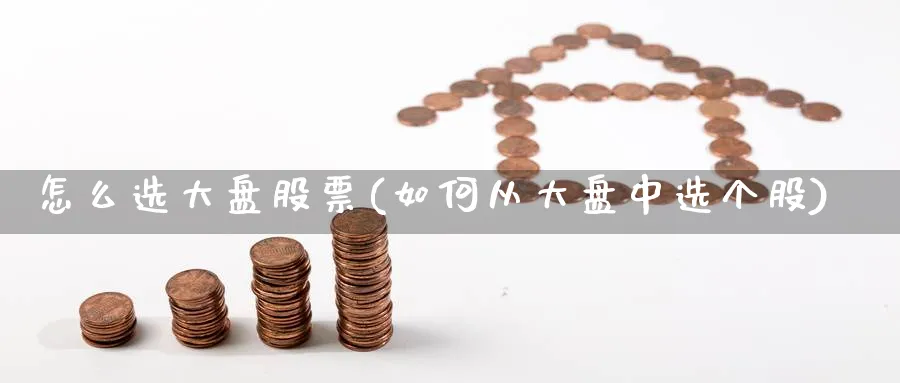 怎么选大盘股票(如何从大盘中选个股)_https://www.aydji.com_内盘期货_第1张