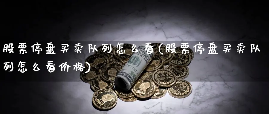 股票停盘买卖队列怎么看(股票停盘买卖队列怎么看价格)_https://www.aydji.com_期货品种_第1张