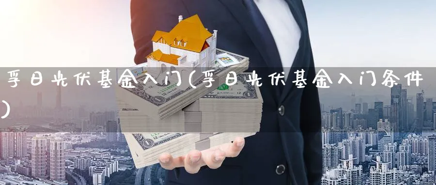 孚日光伏基金入门(孚日光伏基金入门条件)_https://www.aydji.com_理财百科_第1张